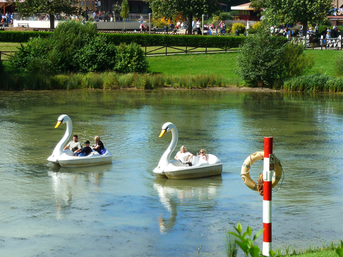 Swan Boats at Lightwater Valley Theme Park